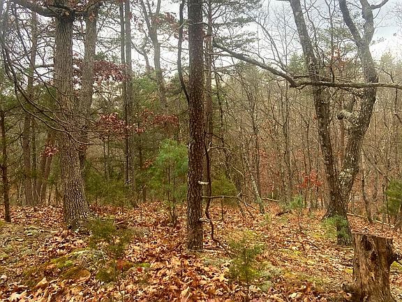 4th image of Spitz Ln