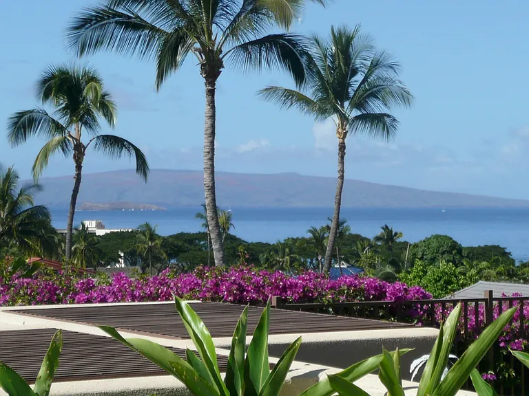 View from house
