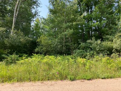 Norconk Rd, Bear Lake, MI, 49614