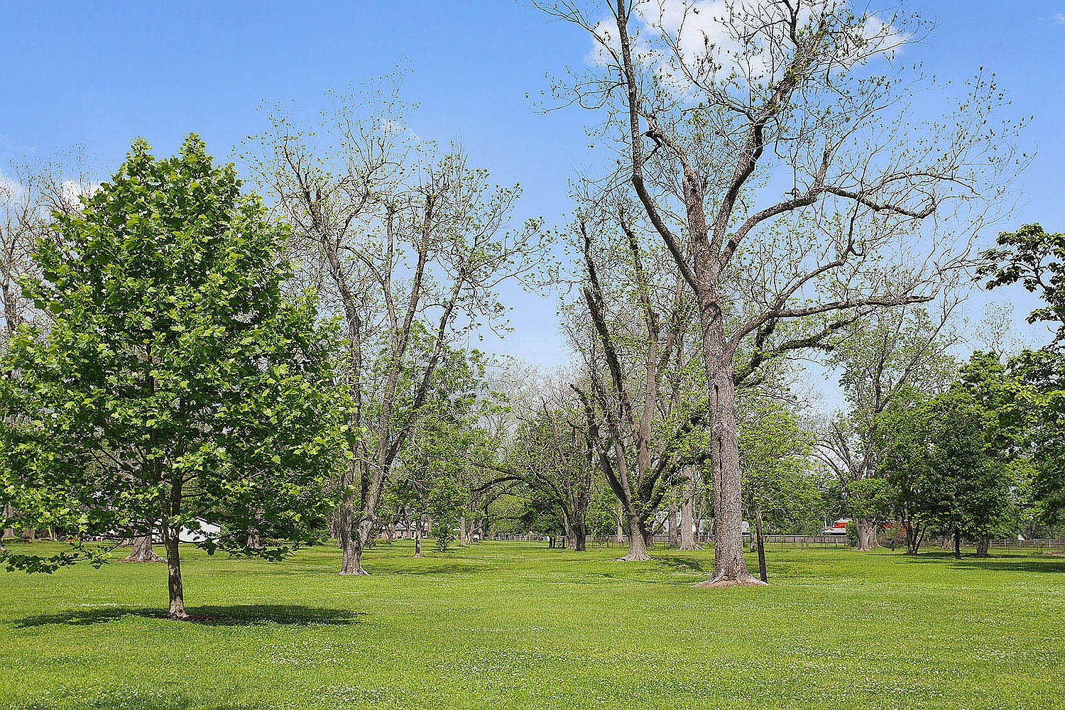 23123 Sunnyside Ln, Zachary, LA 70791 Zillow