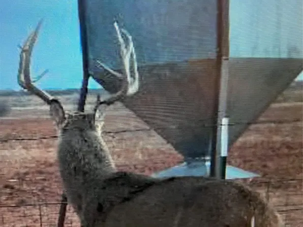 Nka Buckle L Rd, Childress, TX 79201