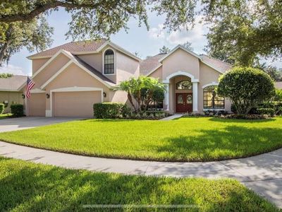 3329 Cypress Landing Dr, Valrico, FL, 33596