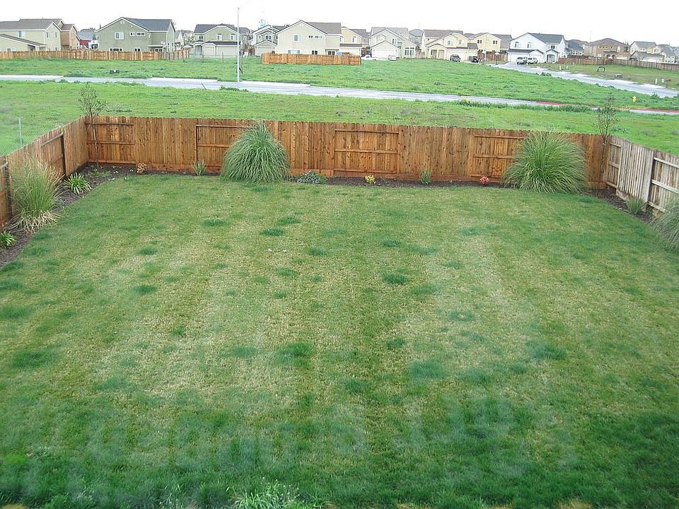 backyard view from second floor