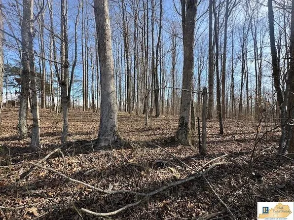 13AC B Hurt Rd, Breeding, KY 42715