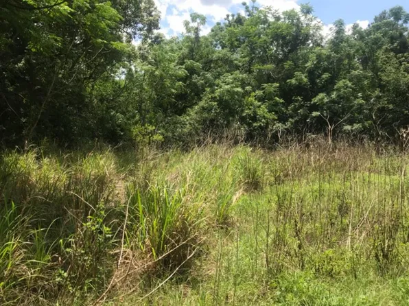 Wadsworth Rd Lot 84, Mount Dora, FL 32757