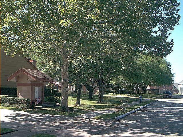 1st image of 7084 Greenway Chase St