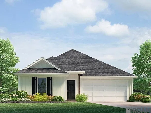 24703 Berry Ridge Ln, Springfield, LA 70462