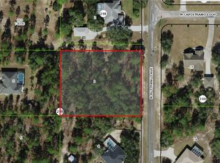 4336 N Butternut Ave, Beverly Hills, FL 34465