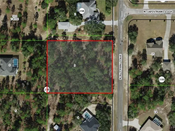 4336 N Butternut Ave, Beverly Hills, FL 34465