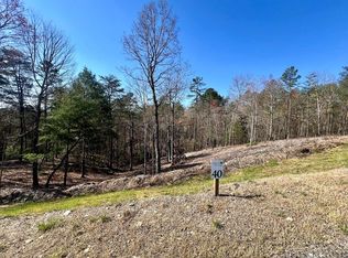 LOT 40 Mountain Laurel Dr, Mineral Bluff, GA 30559