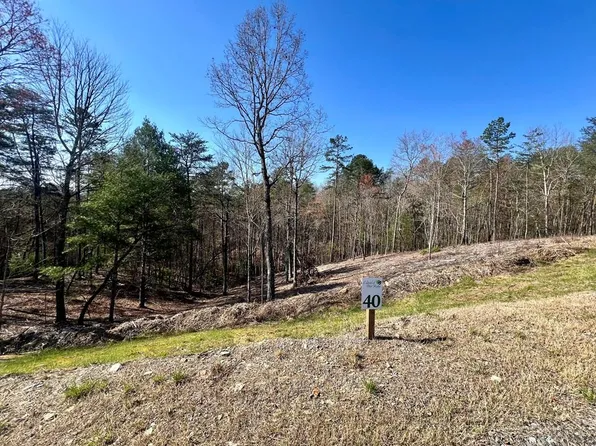 LOT 40 Mountain Laurel Dr, Mineral Bluff, GA 30559
