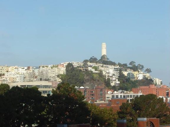 Coit Tower View