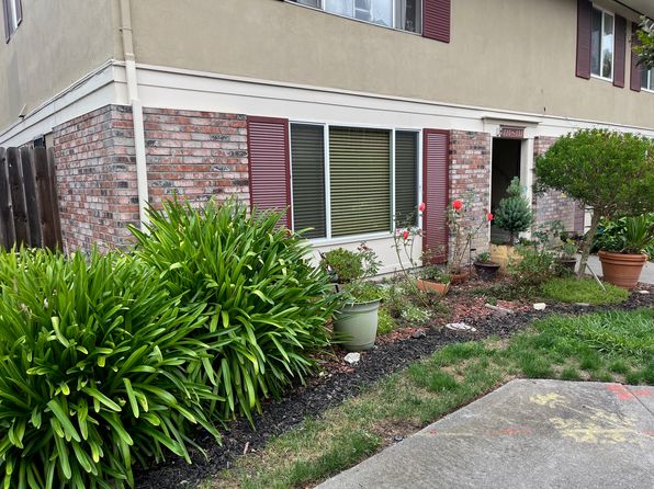 300 Stony Point Rd APT 131