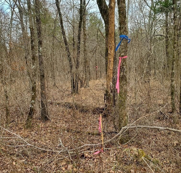 1st image of Polk Rd #197