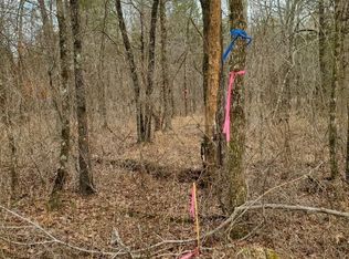 Polk Rd #197, Mena, AR 71953