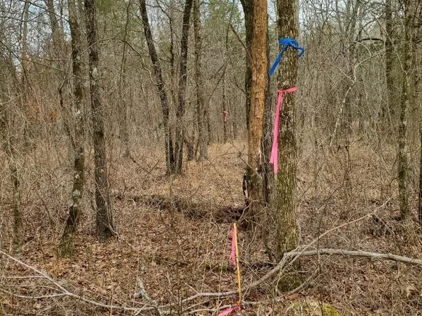 Polk Rd #197, Mena, AR 71953