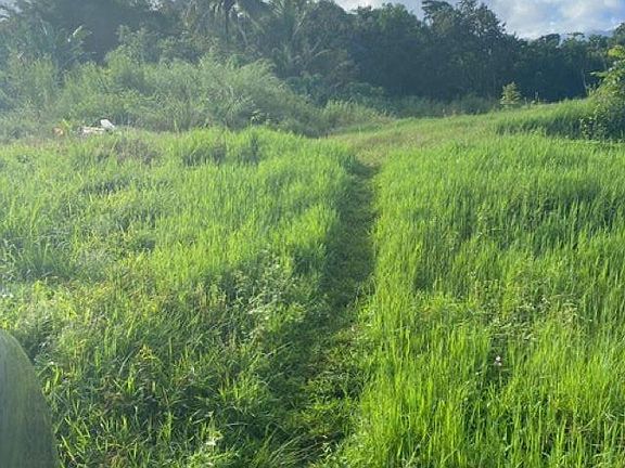 3rd image of 1580 Lower Nahiku Rd