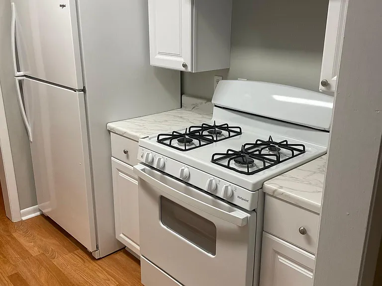 New refrigerator, stove, and vent hood.
