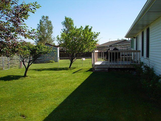 Back yard