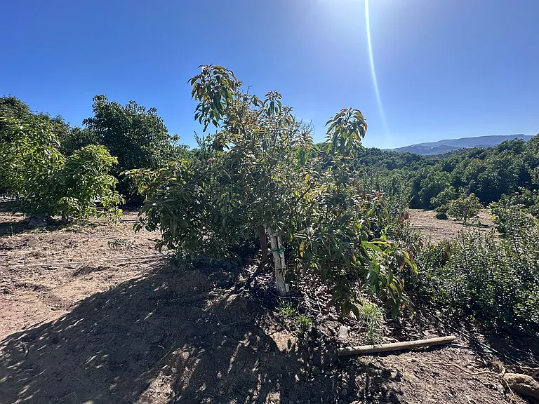 Sandia Creek Rd — Photo 11