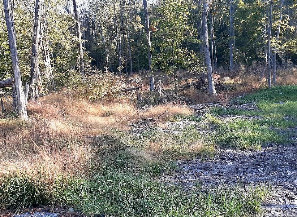 Stewart Hill Rd, Adamstown, MD 21710 Zillow