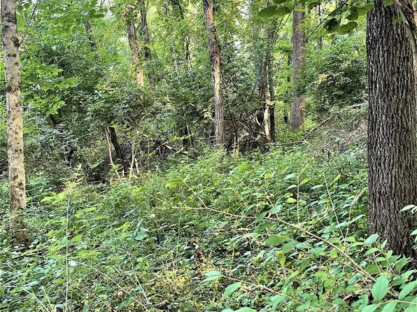 0 Pea Ridge Rd, Brookville, IN 47012