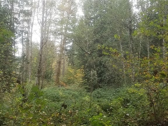 4th image of 16313 258th Ave SE
