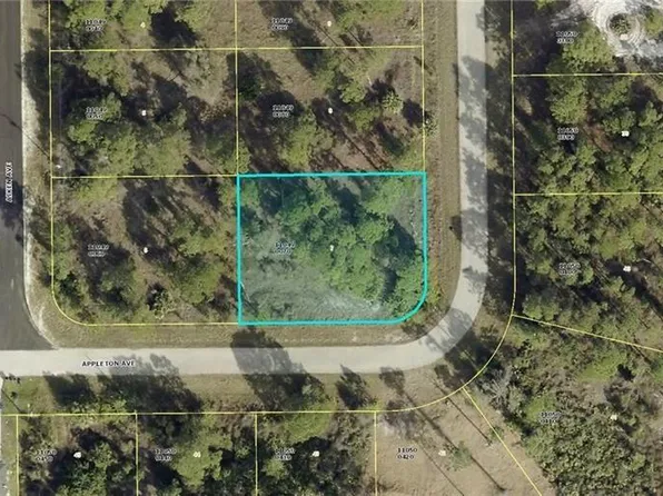 822 Appleton AVE, LEHIGH ACRES, FL 33974