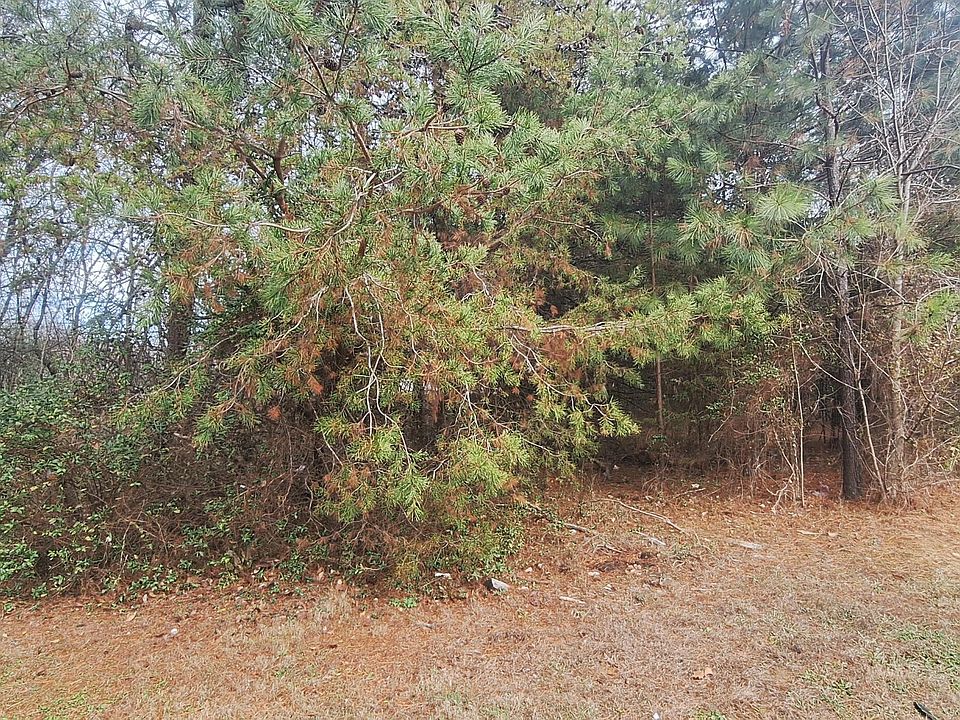 2nd image of Raintree Ln
