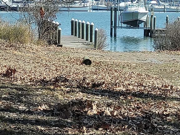 3rd image of Monroe Bay Cir