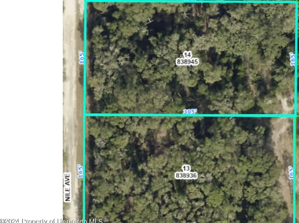 Lots 13&14 Nile Ave, Webster, FL 33597