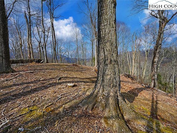 3rd image of TBD Raspberry Lane