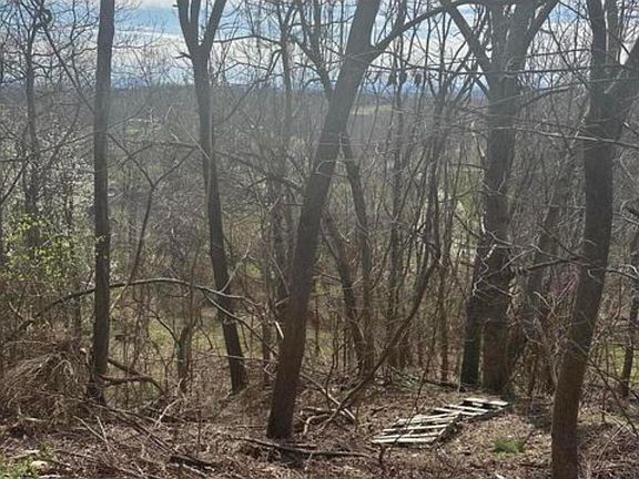 2nd image of 322 Bayberry Dr