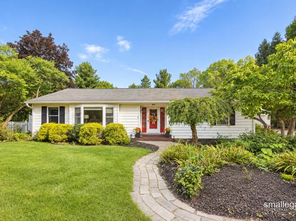 610 W Ellis Ave, Belding, MI 48809