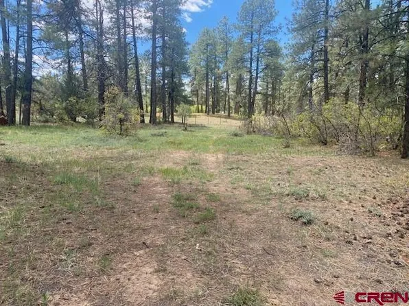 76 Kay's Court, Pagosa Springs, CO 81147