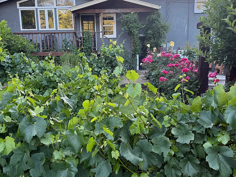 129 Rose Ln — Photo 1