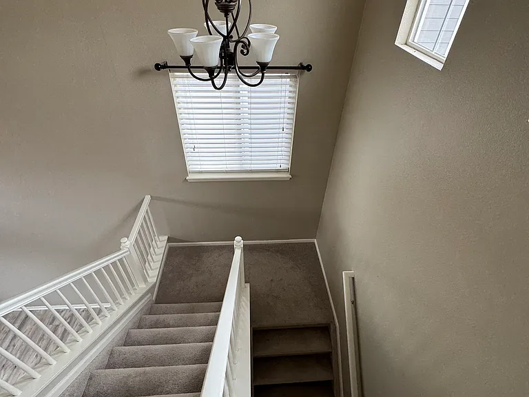 8366 S Pierce Way — Photo 11