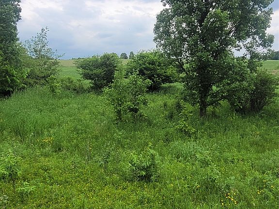4th image of 00 County Hwy B Lot 2