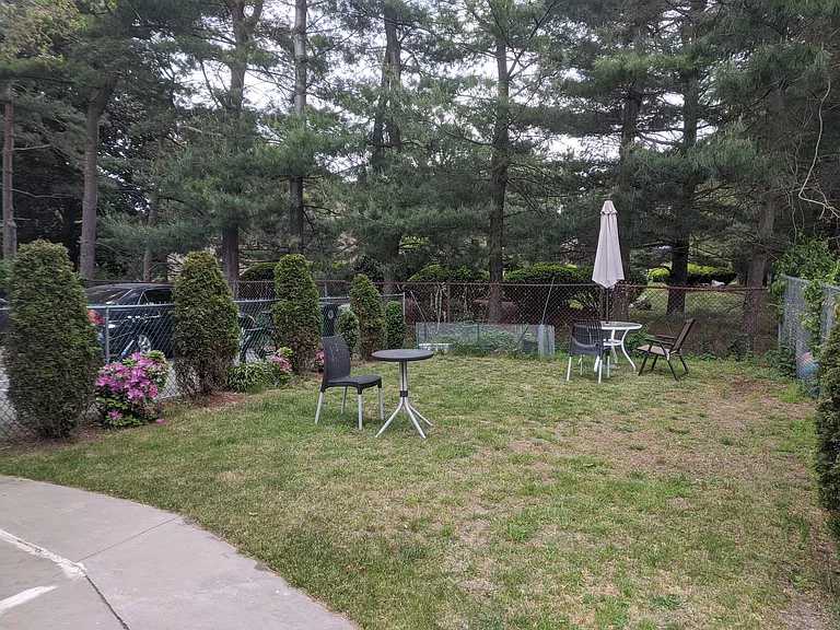 shared yard