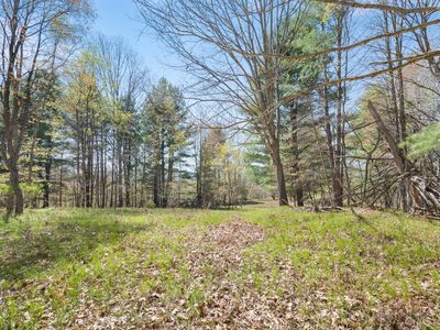 Vl 17 Mile Rd, Rodney, MI, 49342