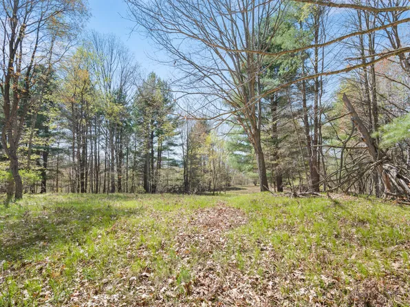 Vl 17 Mile Rd, Rodney, MI 49342
