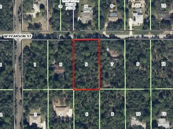 1420 W Pearson St, Hernando, FL 34442