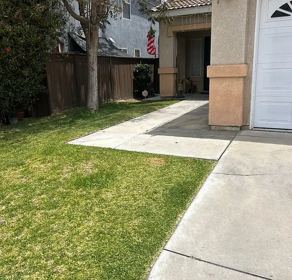 3225 Okeefe St — Photo 3