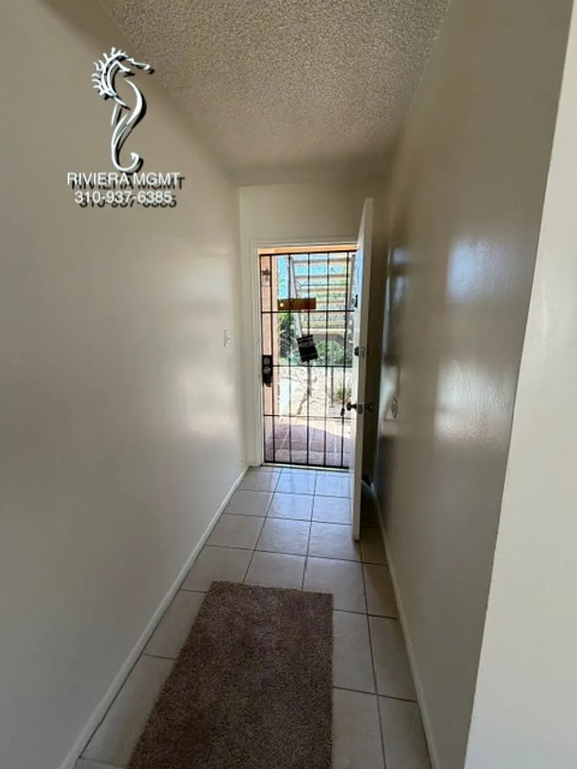 335 — Photo 4