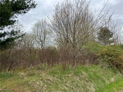 Middle Rd, Conneaut, OH, 44030