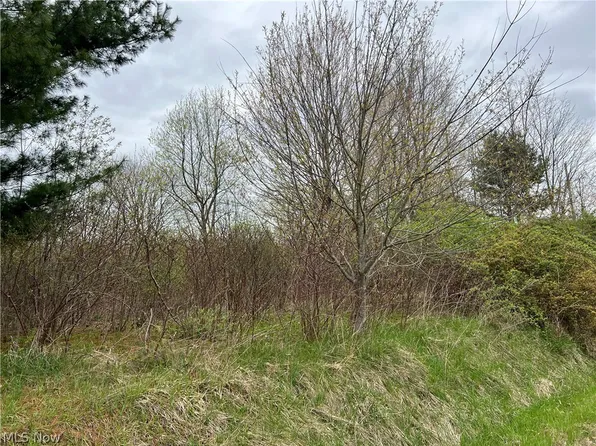 Middle Rd, Conneaut, OH 44030