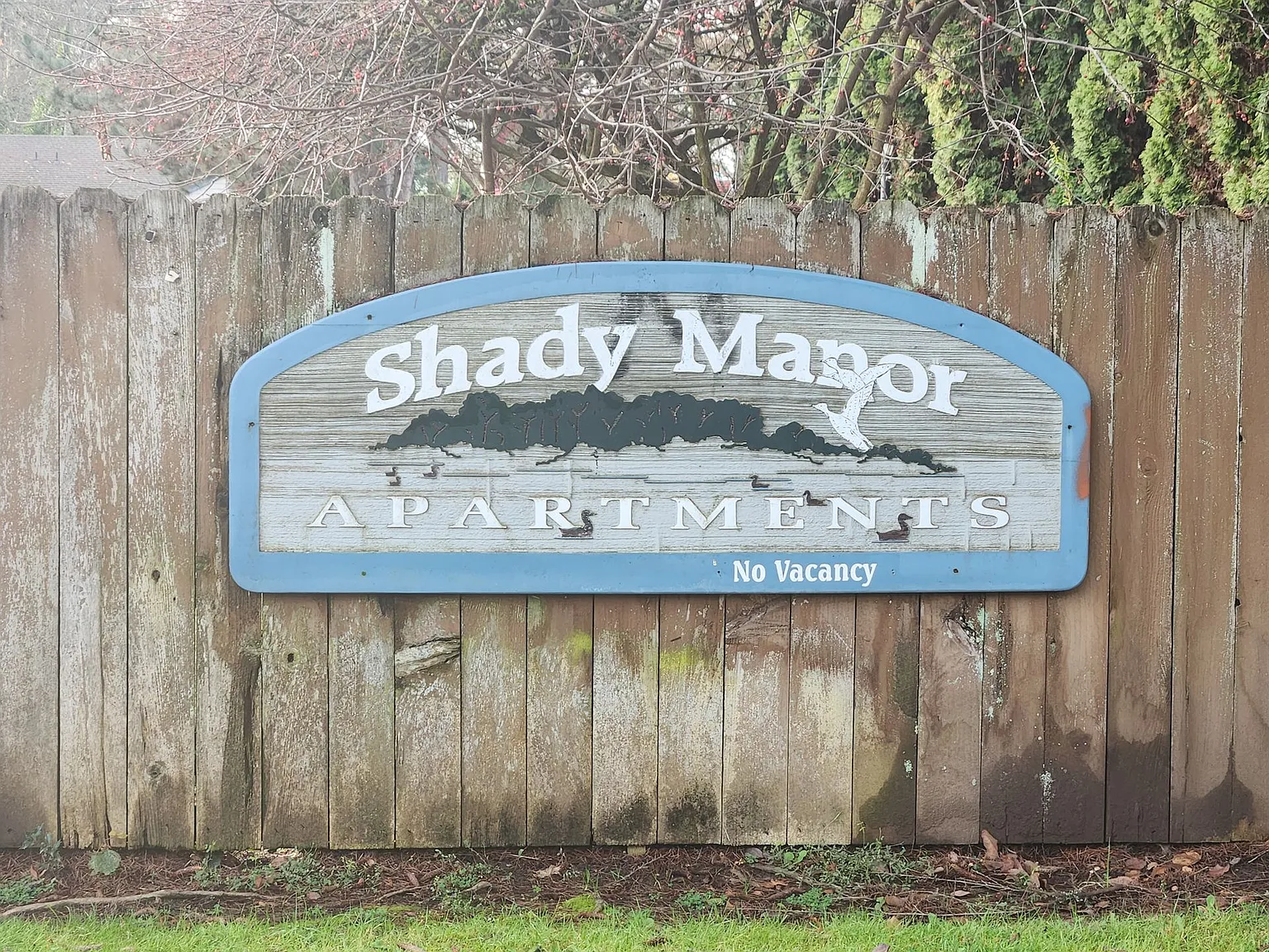 Shady Manor — Photo 2