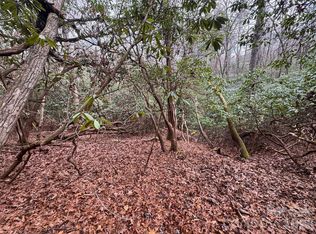 0 Falls Creek Ct, Pisgah Forest, NC 28768