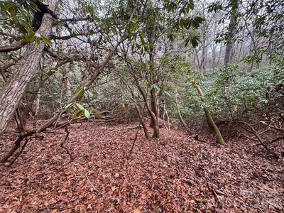 0 Falls Creek Ct, Pisgah Forest, NC, 28768