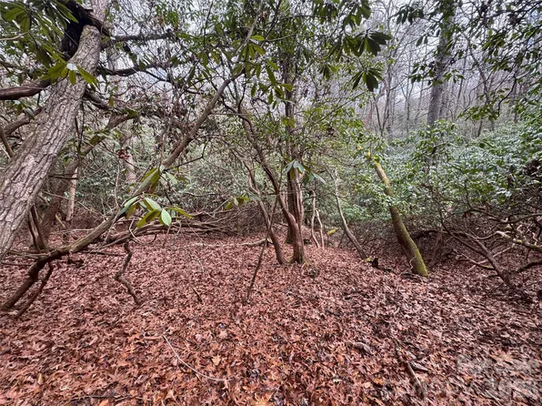 0 Falls Creek Ct, Pisgah Forest, NC 28768